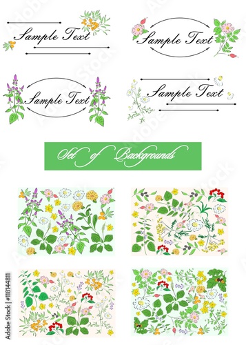 set with herbs