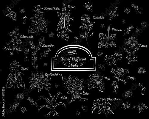 the plants set white