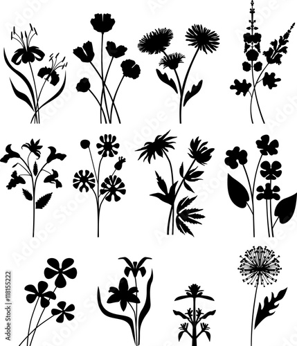 Floral series