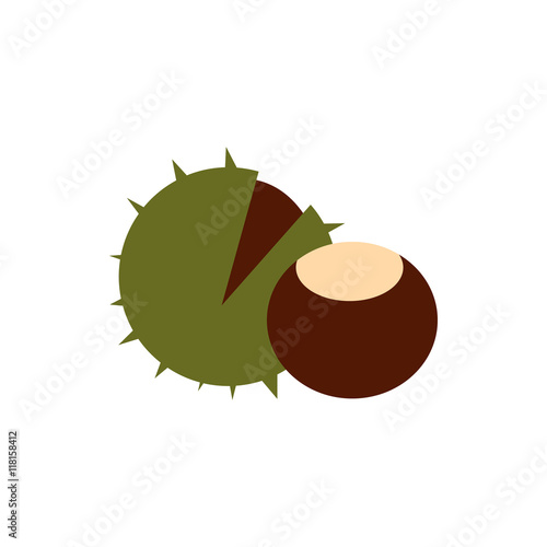 Chestnut icon in flat style isolated on white background. Plant symbol