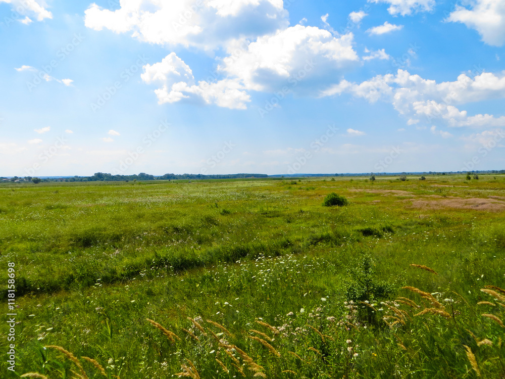 Wide green meadow