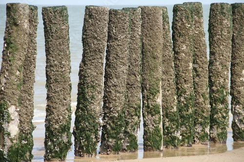 Wellenbrecher an der Nordsee bei Ebbe