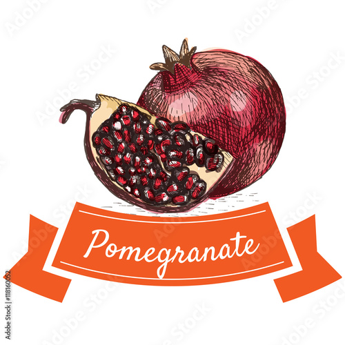 Vector illustration colorful set with pomegranate