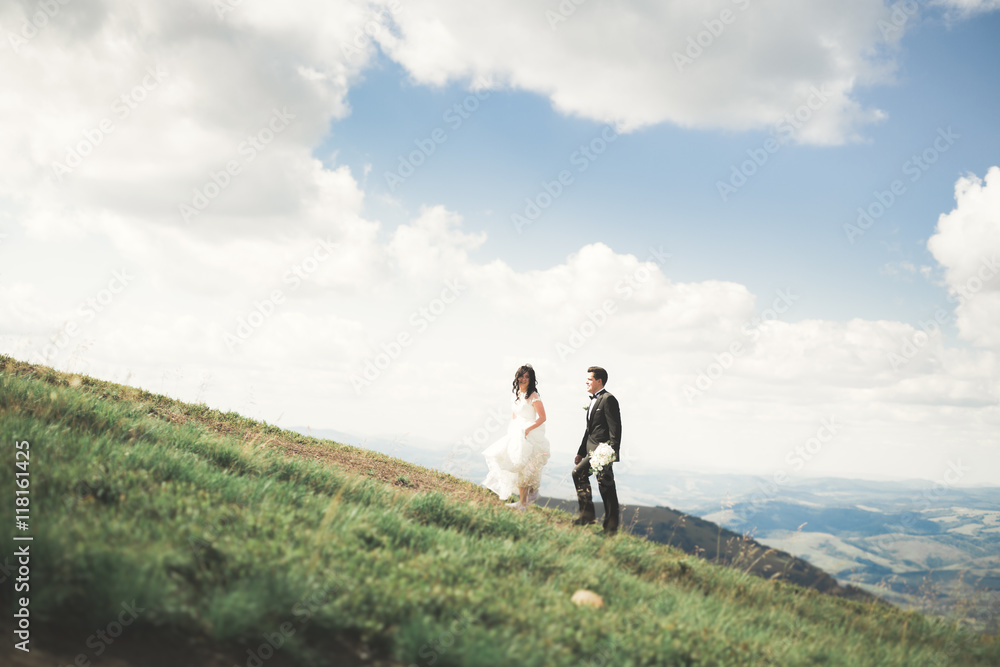 Beautiful wedding couple, bride and groom, in love on the background of mountains Beautiful wedding couple, bride and groom, in love on the background of mountains