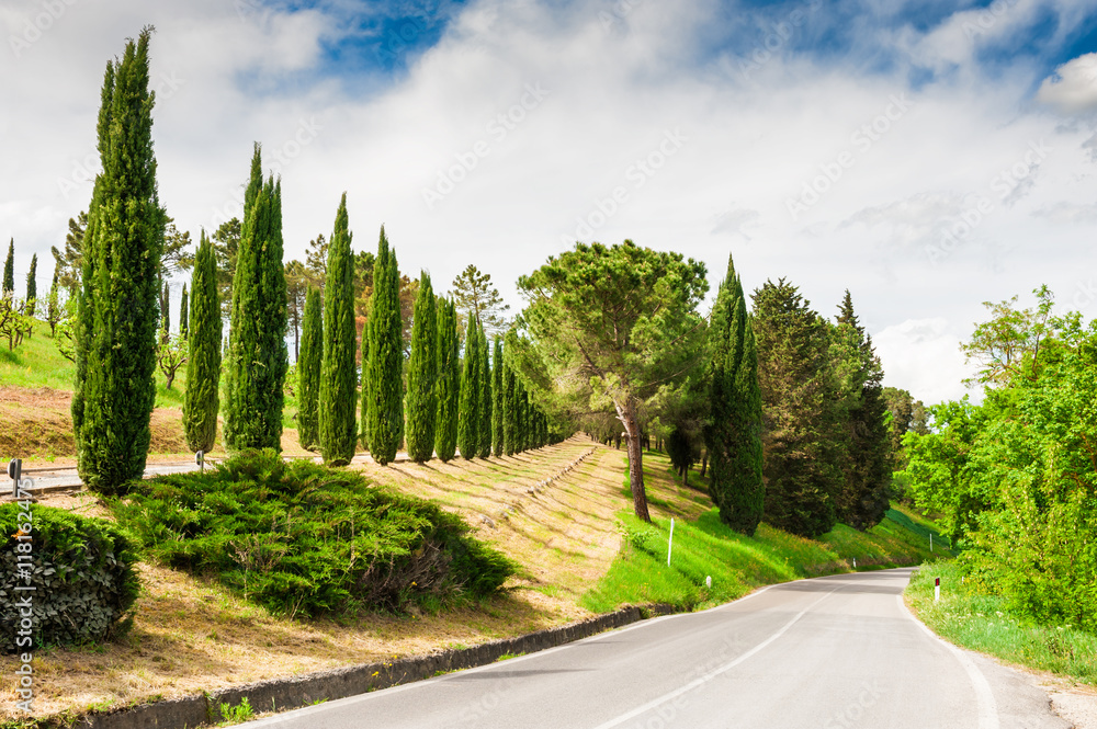 Road in countryside in Tuscany, Italy