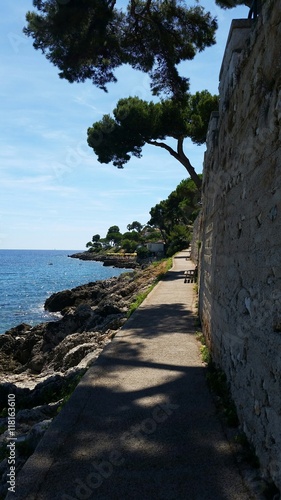 Wallpaper Mural Chemin en bord de mer méditerranée Torontodigital.ca