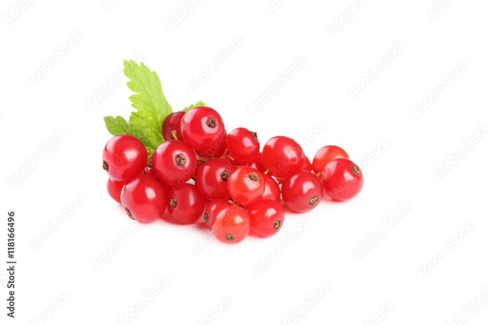Red currants isolated on a white Red currants isolated on a white