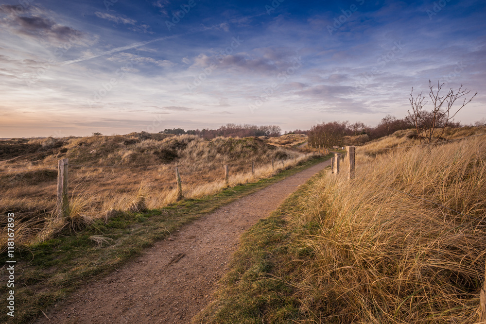 Dünenlandschaft