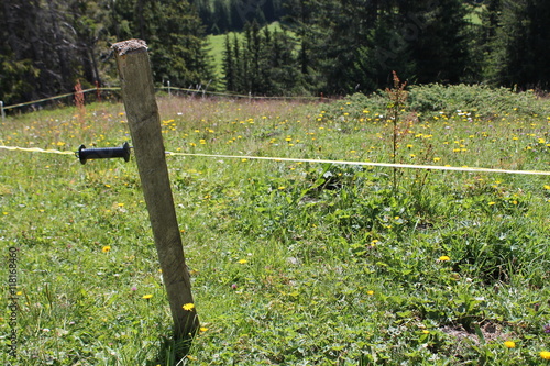 Zaun auf einer Bergwiese