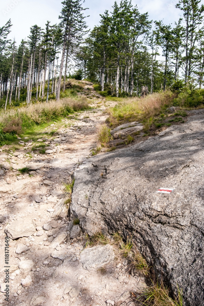 stony hiking trail with red coloured trail blazing on rock and trees on the background bellow Malinow hill in Beskid Slaski mountains in Poland stony hiking trail with red coloured trail blazing on rock and trees on the background bellow Malinow hill in Beskid Slaski mountains in Poland