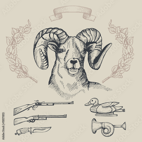Hunting. Hand drawn. Head of mountain sheep, and hunting accesso