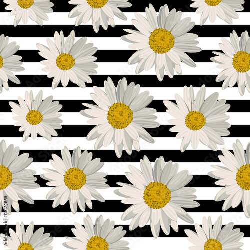 Seamless pattern with daisy flowers