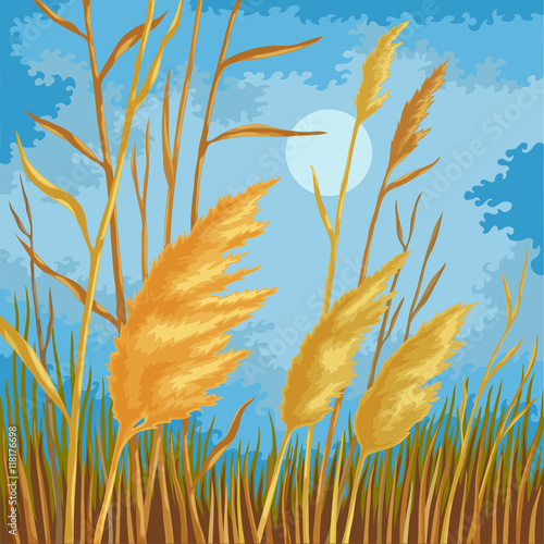  Yellow reed leaves