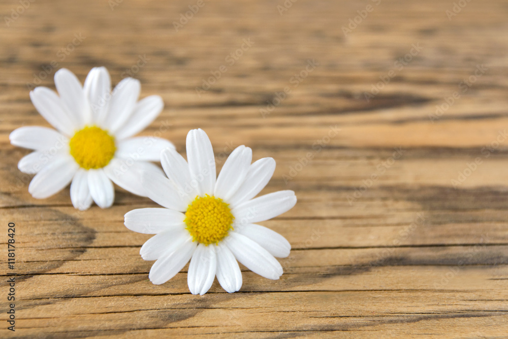 Obraz premium Blumen auf Holz