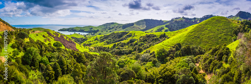 Landscape at Coromandel, New Zealand photo