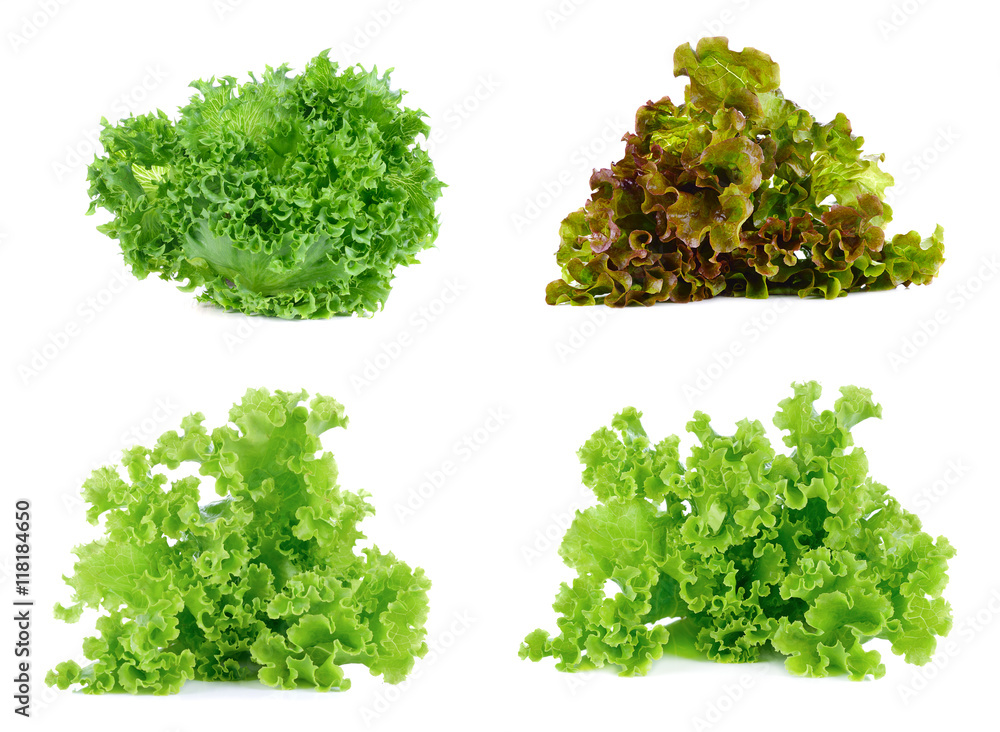 Green lettuce isolated on the white background. Green lettuce isolated on the white background.
