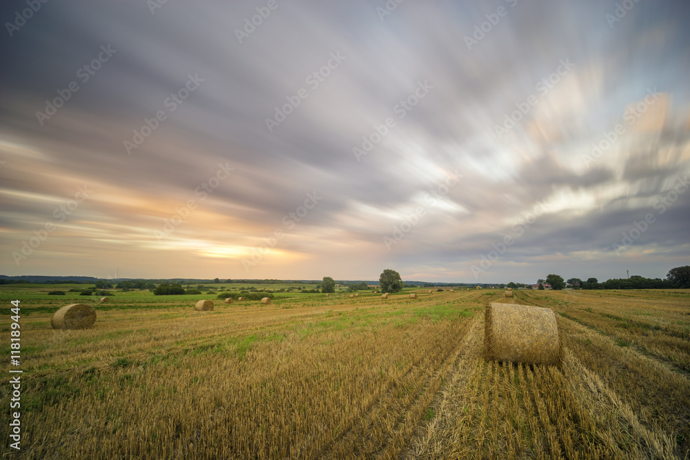 field after the harvest
