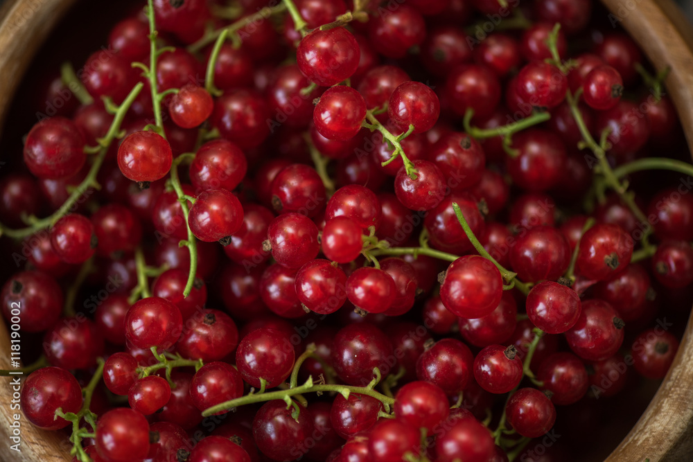 Fresh red currants