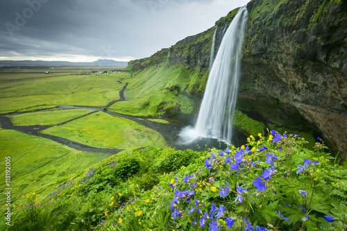 Fototapeta Naklejka Na Ścianę i Meble -  View to wild blue flowers and waterfall