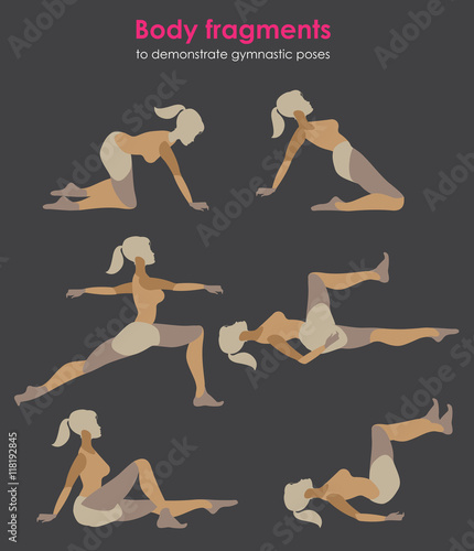 Fragments of body for demonstrating gymnastic poses