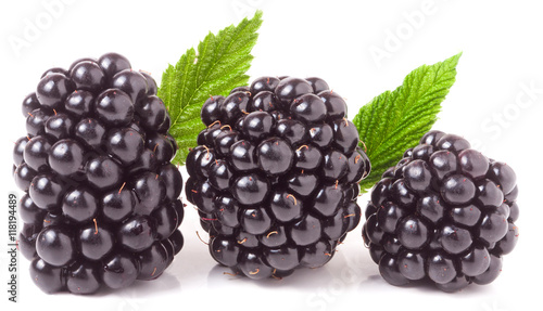 three blackberry with leaf isolated on a white background closeup
