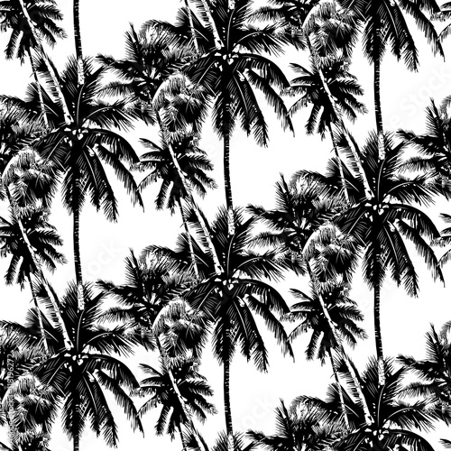 tropical palms pattern