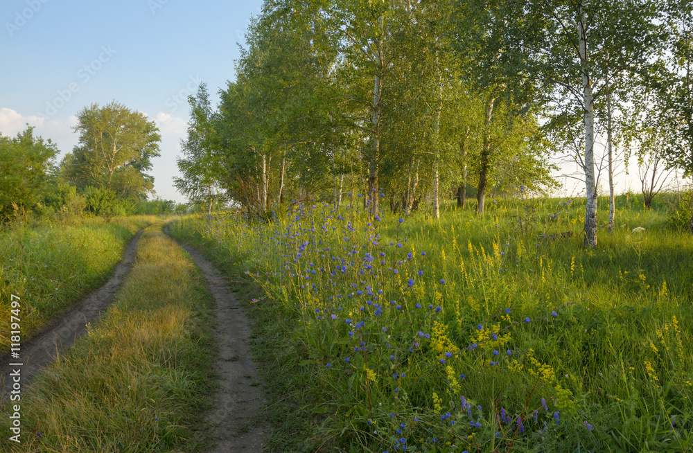 Naklejka premium Countryside road