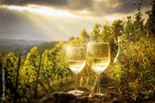 Weißweingläser im Weinberg bei Sonnenuntergang photo