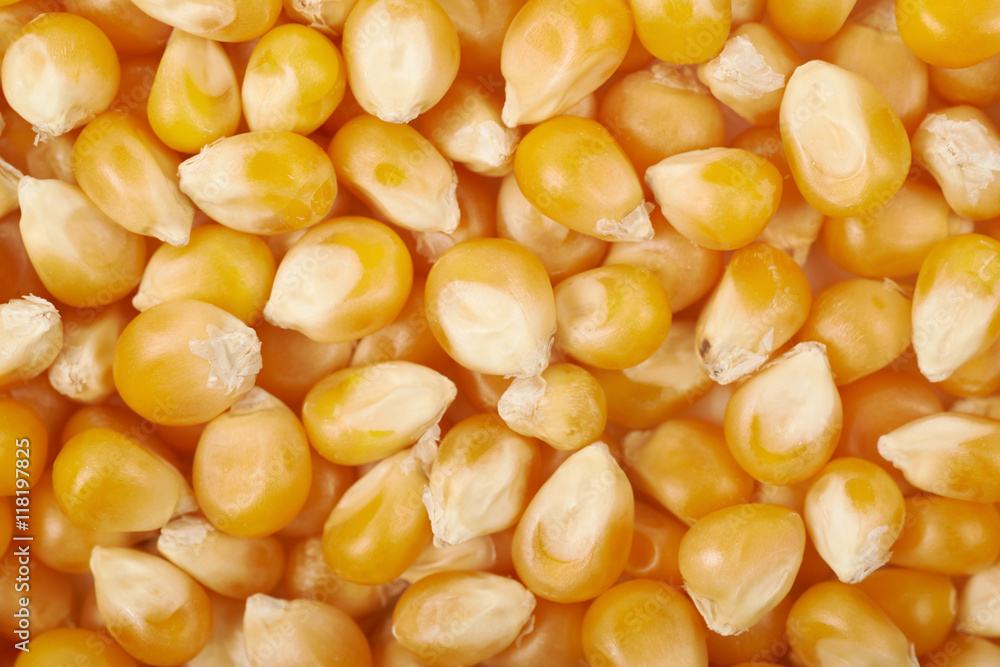 Surface coated with corn kernels Surface coated with corn kernels