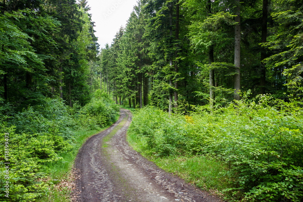 Fototapeta premium Ruins Haichenbach. Austria.