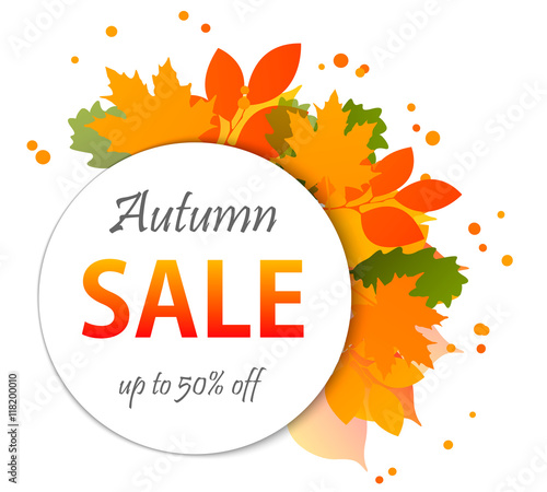 Autumn sale banners isolated on white background. Colorful leaves. Save up to 50%. Vector illustration