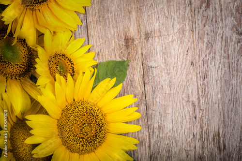 unflowers on wooden background