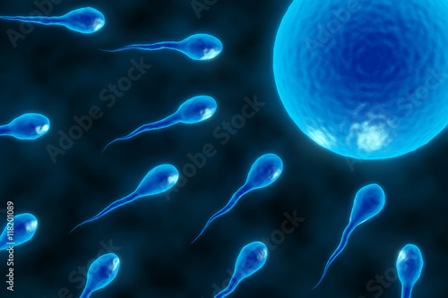 Fototapeta Naklejka Na Ścianę i Meble -  3d illustration fertilization. Insemination of human egg cell by sperm cell