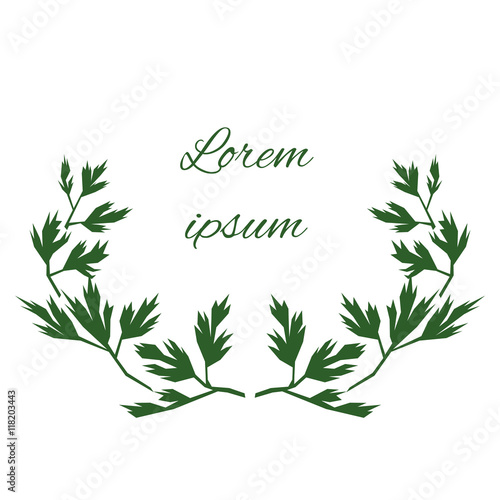 Floral decorative elements with stylized parsley leaves and sample text
