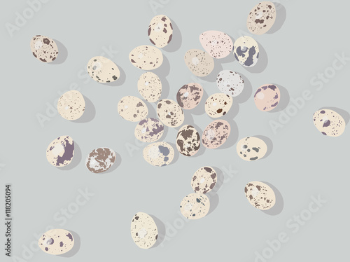 Realistic decorative isolated bird common quail eggs set hand drawn sketch vector illustration