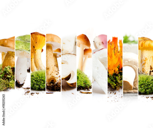 Photo Various Mushroom Mix