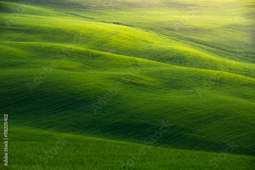 The green field Tuscany Italy © shirophoto