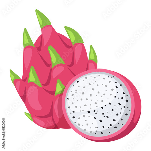 Pitaya or dragon fruit vector illustration.
