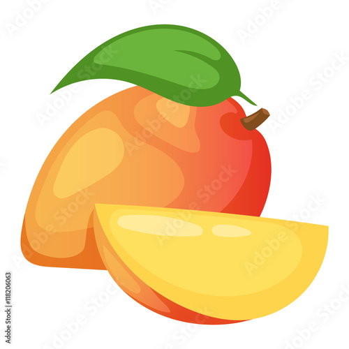 Mango fruit vector illustration.