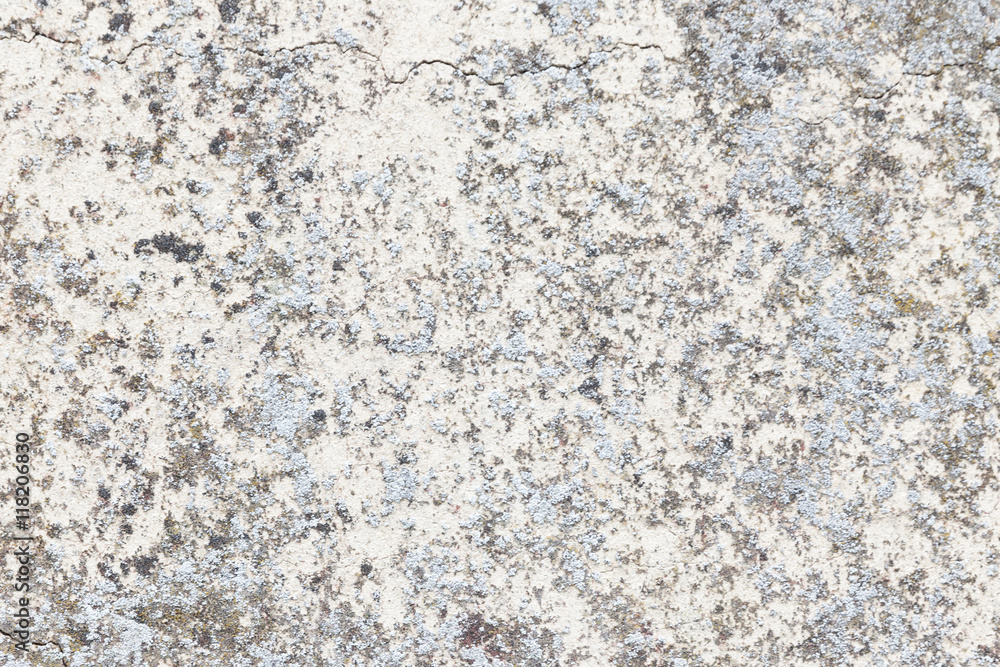 background texture shot background texture shot