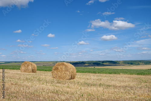 Summer landscape with landing field and rolls of hay on a sunny day
