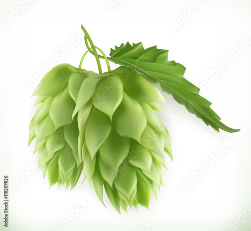 Hop plant 3d vector icon