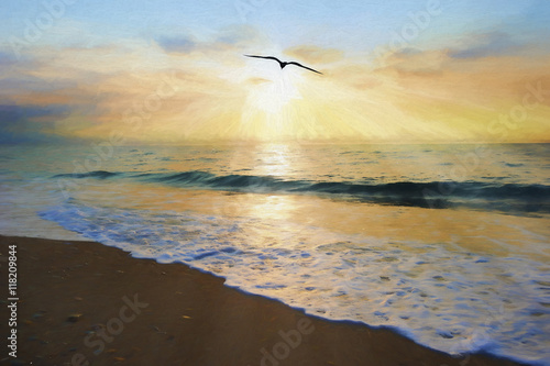 Ocean Sunset Bird