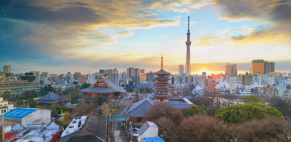 Fototapeta premium View of Tokyo skyline at twilight