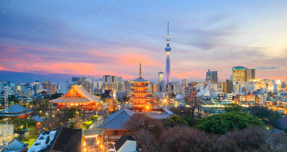 Naklejka premium Widok na panoramę Tokio o zmierzchu