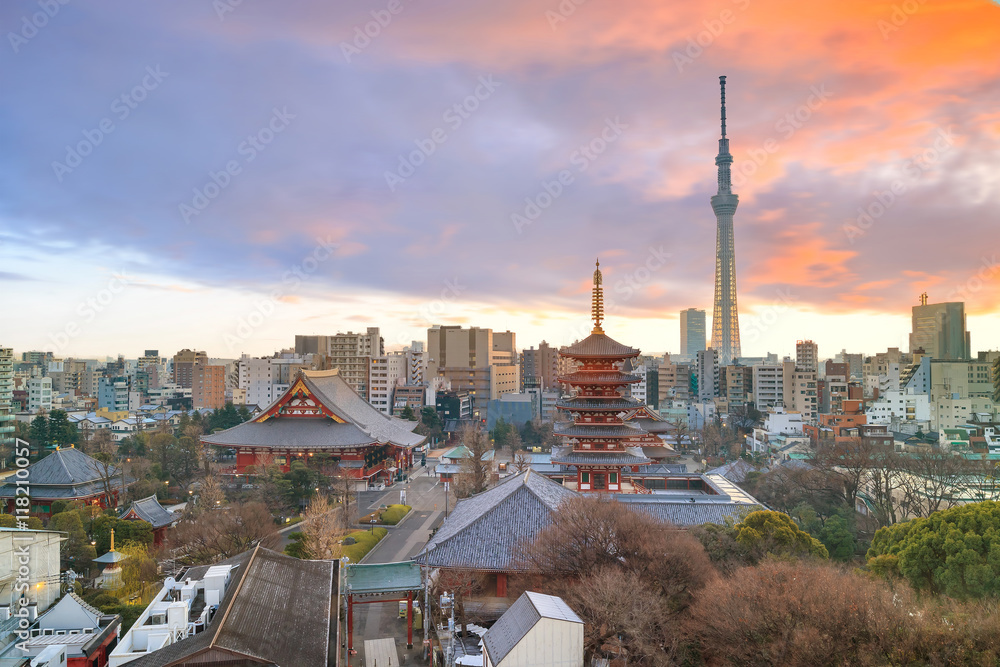 Obraz premium View of Tokyo skyline at twilight