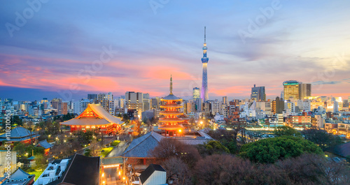 View of Tokyo skyline at twilight photo