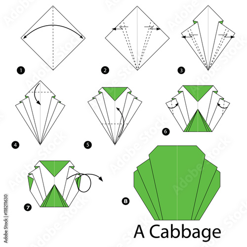 step by step instructions how to make origami A Cabbage.
