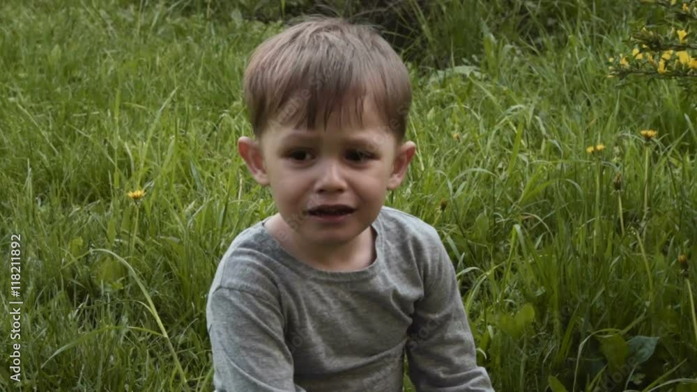 Naughty little boy crying and having hysterics sitting on the grass in the park Naughty little boy crying and having hysterics sitting on the grass in the park