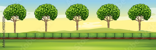 Scene with trees and field